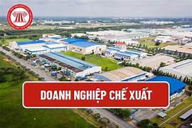 Phân Biệt Doanh Nghiệp Thường và Doanh Nghiệp Chế Xuất (EPE) – Hiểu Đúng Để Vận Hành Hiệu Quả